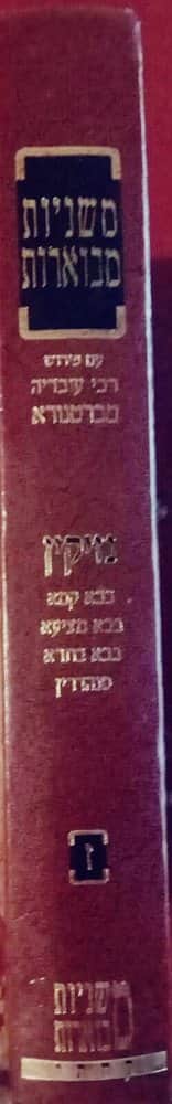 קהתי-נזיקין א.