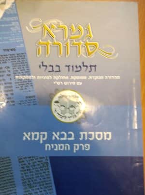 גמרא סדורה בבא קמא פרק המניח-יד שניה