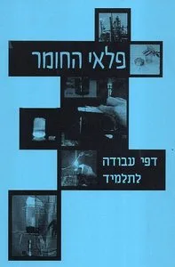 פלאי החומר-עבודה